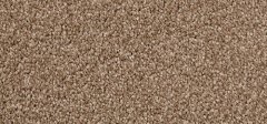 Natural Hessian 07109