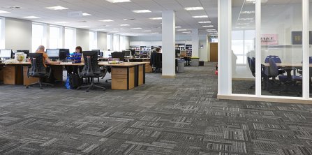 Gradus Offers New Look for Retail Giant